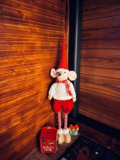 Woods Retreat - Râu de Mori - 5