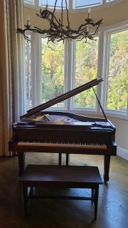 Gorgeous Retreat 5 Acres Paradise - 1