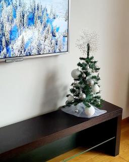 Zlatibor Apartman Harizma - Zlatibor - 9