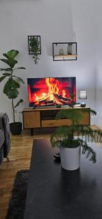 Apartman Dorian Gray 2 - Bijeljina - 8