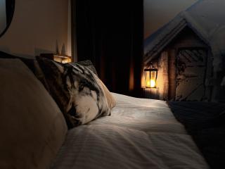 Wolf Street Gem, Free Parking n Nearby Bus Stop - Rovaniemi - 3