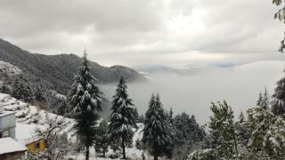COZY HEAVEN HOME STAY DALHOUSIE-Near Fortune Park ITC Karelanu - Dalhousie - 1