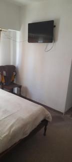 Mono - Mar del Plata - 7