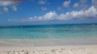 Best snorkeling at your doorstep - The Bight Settlements - 8