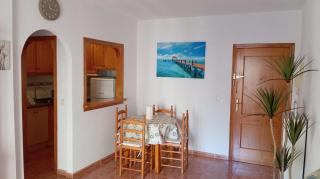 Apartamento en Torrevieja - Torrevieja - 8