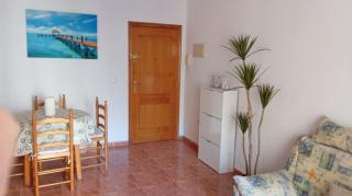 Apartamento en Torrevieja - Torrevieja - 9