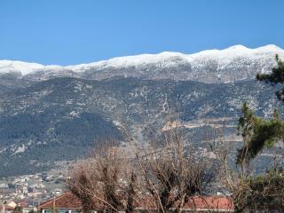 Reve Suites Ioannina - Ioannina - 7
