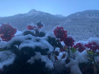 Appartment Lori - Wald am Arlberg - 6