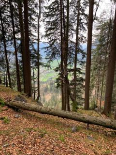 Appartment Lori - Wald am Arlberg - 4