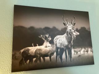 Comfortable City Appartement - 4