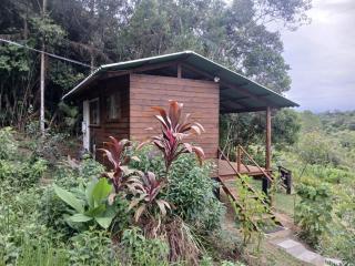 Cabana Manacá da Serra - Morretes - 5