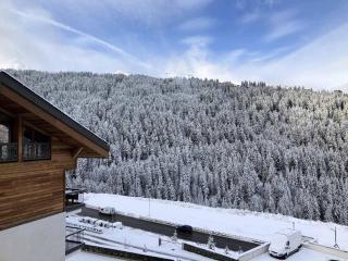 Résidence Ariondaz DaphnÉe - Appartement montagnard moderne pour 4 personnes MAE-8971 - Courchevel - 1