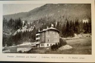 Hotel Alpina - Grächen - 1