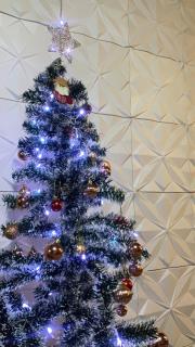 Casa para Laser em Rifaina - 7