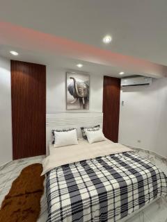 logement luxueuse au pieds du monument de la renaissance africaine - Dakar - 5