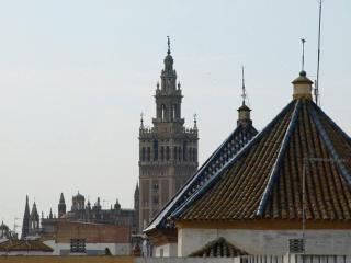 Apartamentos RG calle Santiago 46 - Sevilla - 3