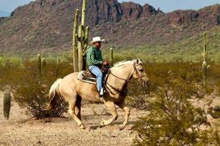Peaceful townhouse near downtown, hiking & biking - Tucson - 5