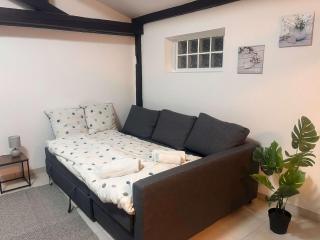 Apartment 50m2 Schiltigheim - 1