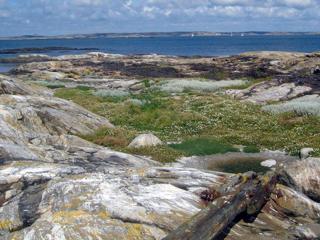 Holiday home MARSTRAND V - Marstrand - 6