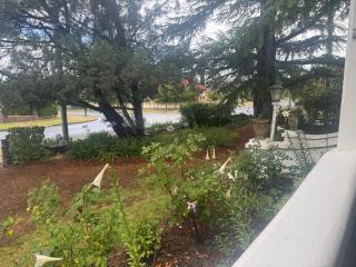 Belmore Cottage - Historic home in Central South - Armidale - 8