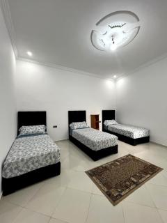 Luxury Terrace Apartment - 3