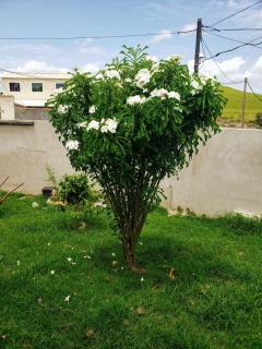 House warmth of the sun, moon glow and smell of the sea - 7