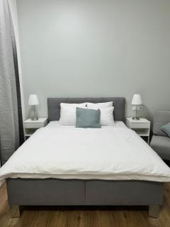 Elegant & Classy 1BR Apartment in Central Prague - Prague - 1