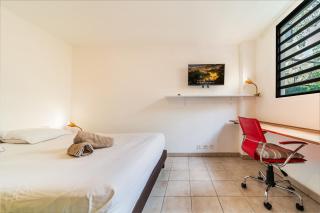 Studio Urbain avec jardin à quelques minutes du centre ville de Saint-Denis avec Terrasse et Parking Privé idéal pour 2 à 4 personnes - 1