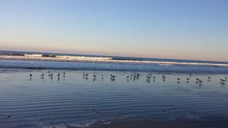 Direct Oceanfront Condo Beautifully Remodeled - 4