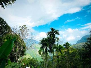 Cloudy Dregs inn ella - 1