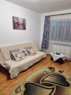 Bubu Apartament - Petroşani - 4
