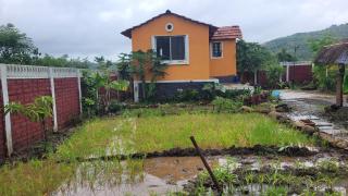 Marigold DBs Organic Retreat with Bamboo Hut - Kharakvasla - 8