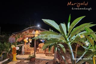 Marigold DBs Organic Retreat with Bamboo Hut - Kharakvasla - 7