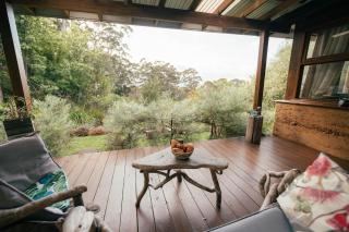 The Floating Forest - 3