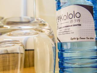 Kololo at 399 Guesthouse & Conference - 1