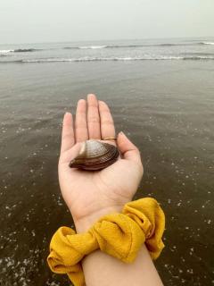 ILIF 2726 Beach Haven - 2