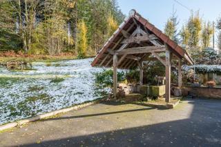 Le Cafranc - Appt en pleine nature - Le Tholy - 1