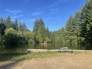 Perch - Red Cabin On The Lake - 8