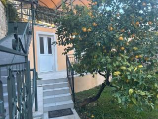 Villa Miramare , Dobrota seafront - Kotor - 3