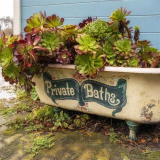 Annie`s Beach House - Fort Bragg - 8
