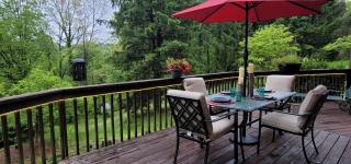 Rock Bridge Villa - Brevard - 8