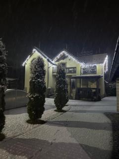 VIP House - Mykulychyn - 3