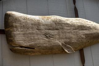 Grey Whale - Fort Bragg - 1