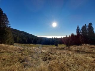 Ochsenwaldhütte - - 7