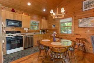 Mai`s Rock Cabin with view - Brevard - 8
