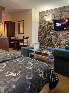 Luxury studio - Bansko - 1