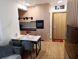 Apartman Zlatiborski proplanak - Zlatibor - 4