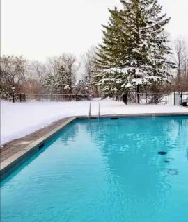Newly Renovated Ski-In Ski-Out 1-Bedroom Condo with Pool, Gym, Sauna by Horseshoe Valley - Edgar - 2