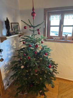 Ferienhaus // Waldlerhaus - Bayern - Bayerischer Wald - Windberg - 1