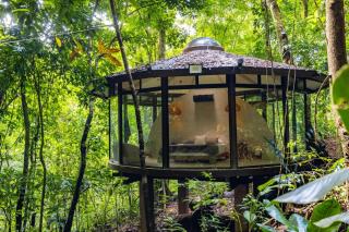 The Nest Unique Jungle Retreat - Barú - 3